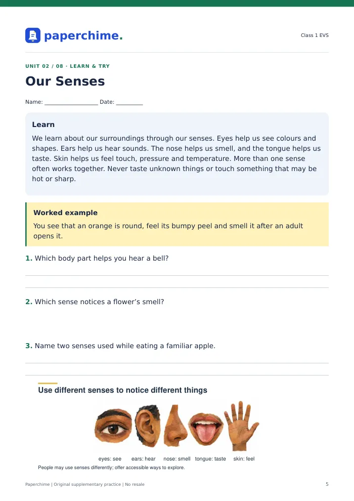 Actual Our Senses practice page, Class 1 EVS