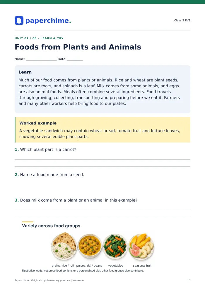 Actual Foods from Plants and Animals practice page, Class 2 EVS