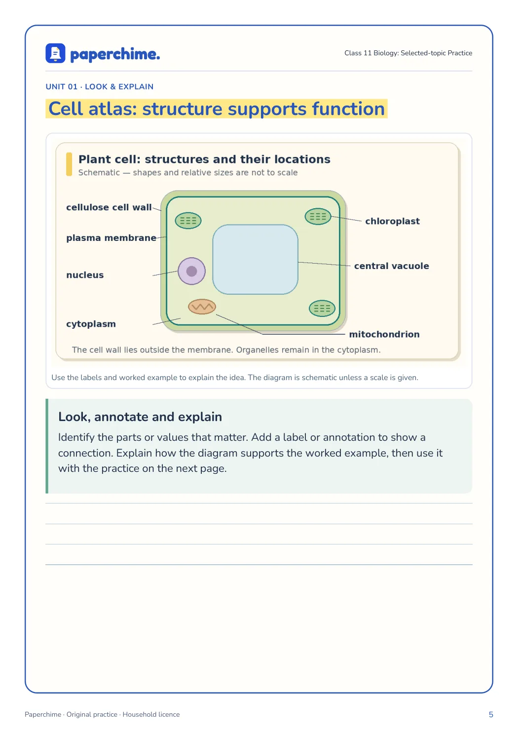 Actual concept page from Class 11 Biology: Selected-topic Practice